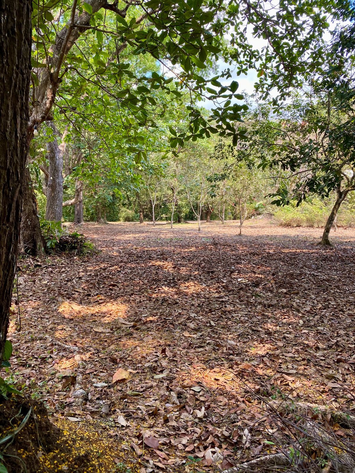 Hole 3