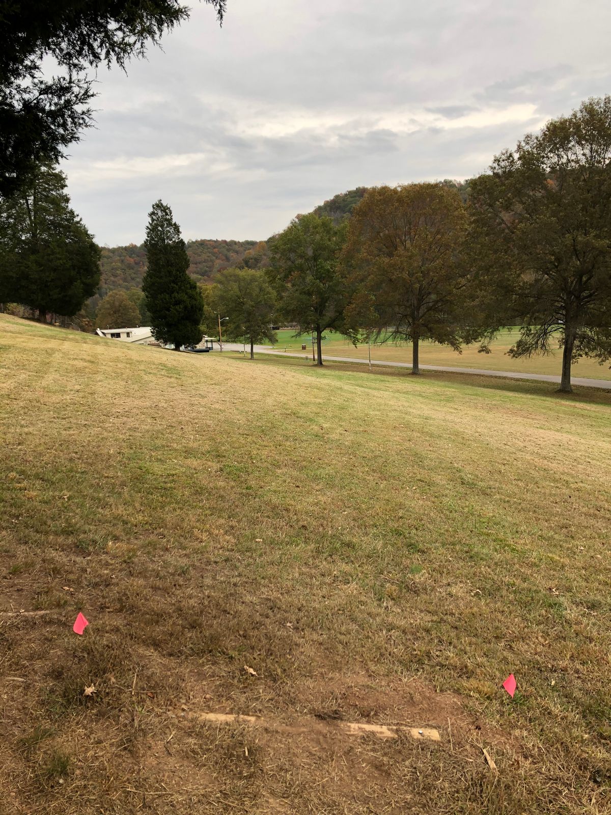 Basket #5 from the short tee box