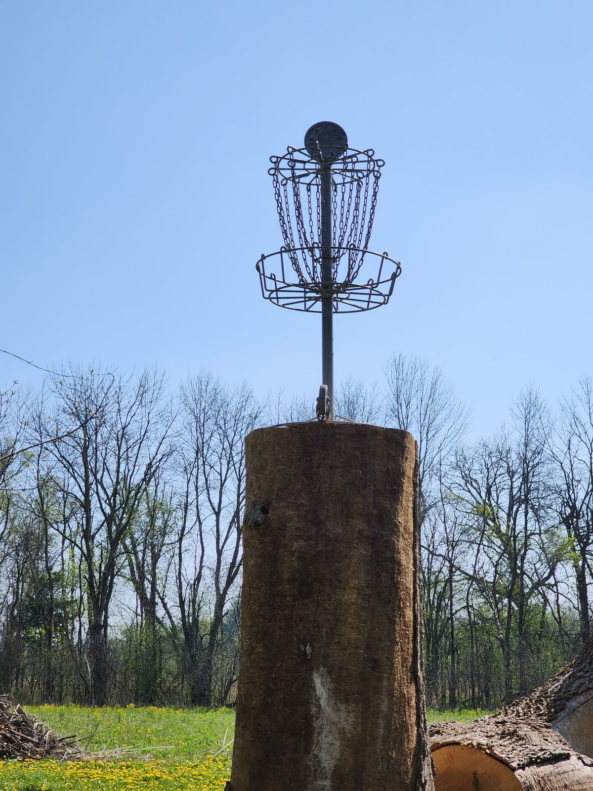 New location for the pond hole - #5.