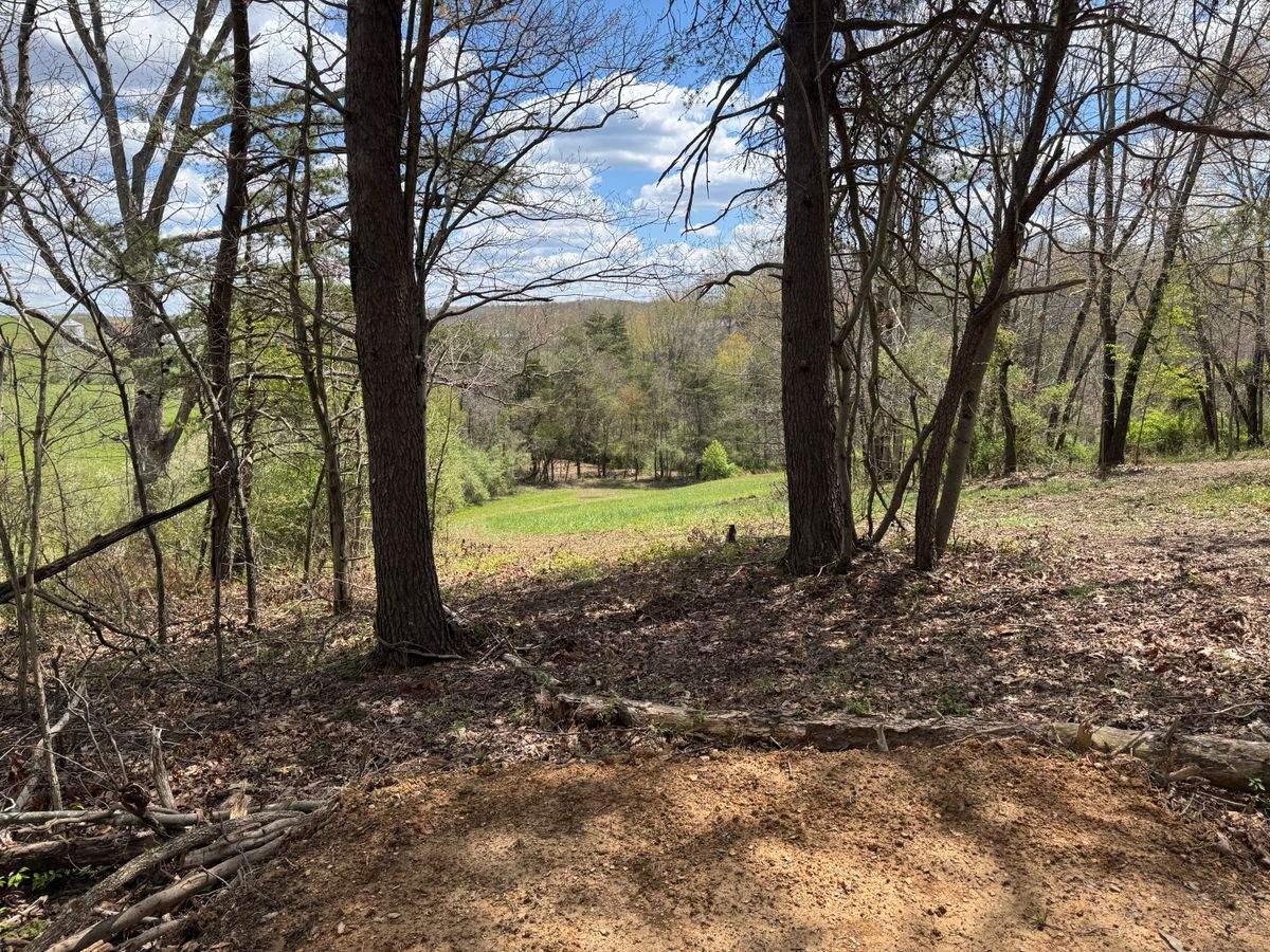 Hole 11 tee