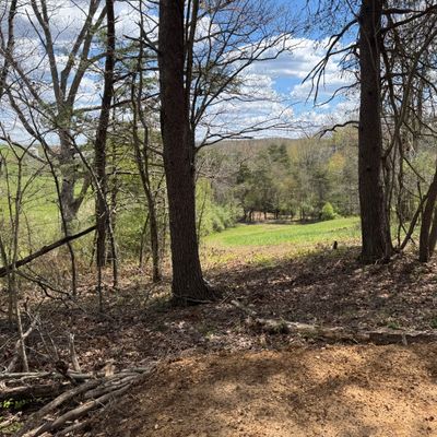 Hole 11 tee