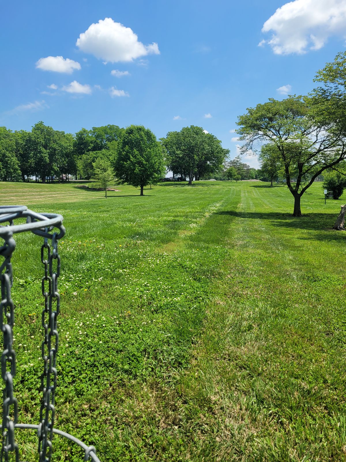 Hole 7 Basket to Tee