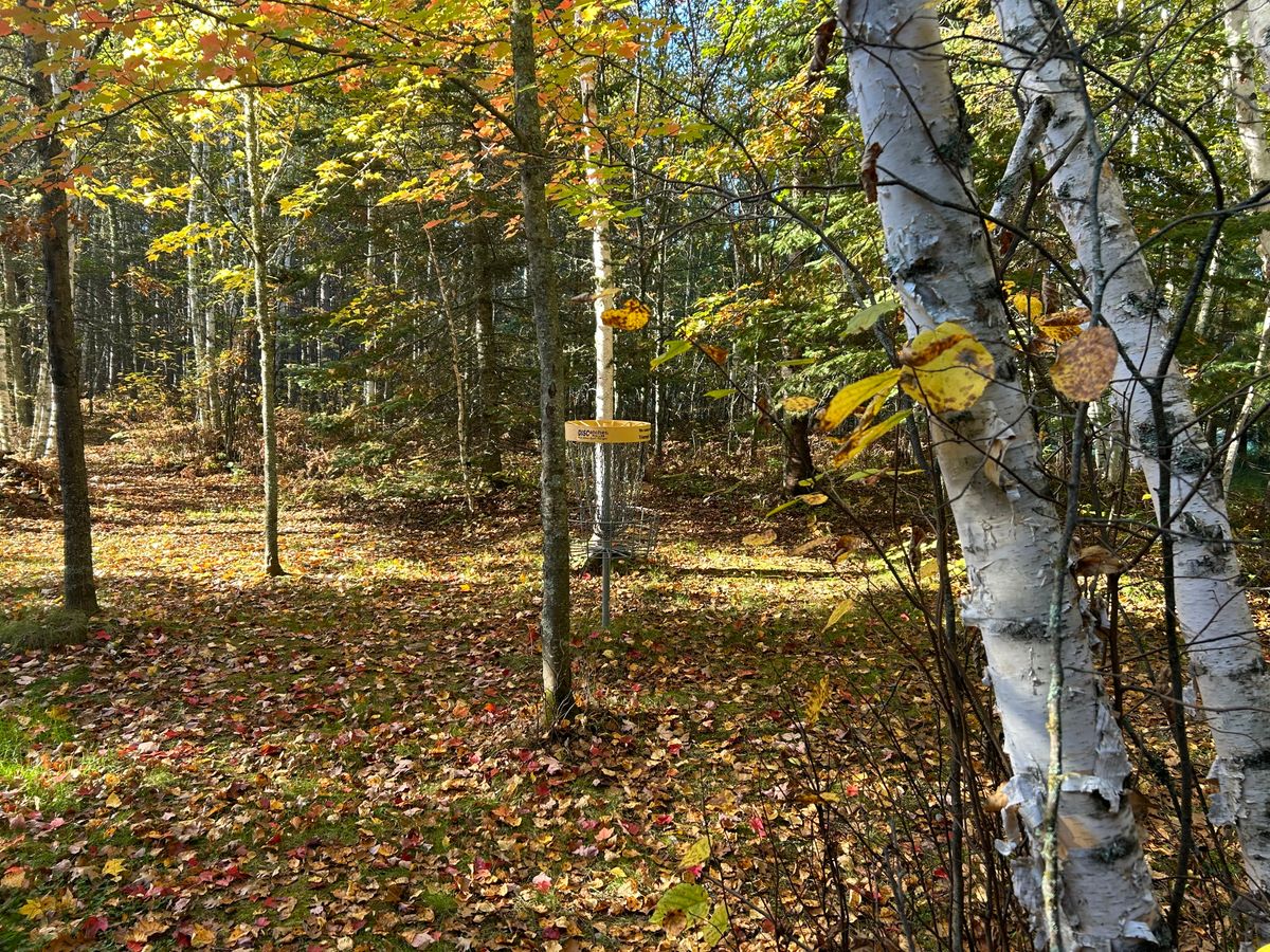 Hole 2 basket