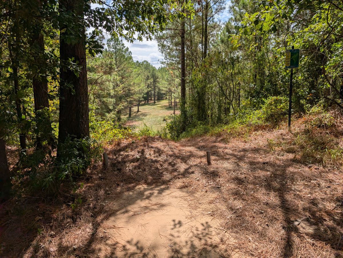 Hole 9: 500+ ft par 3