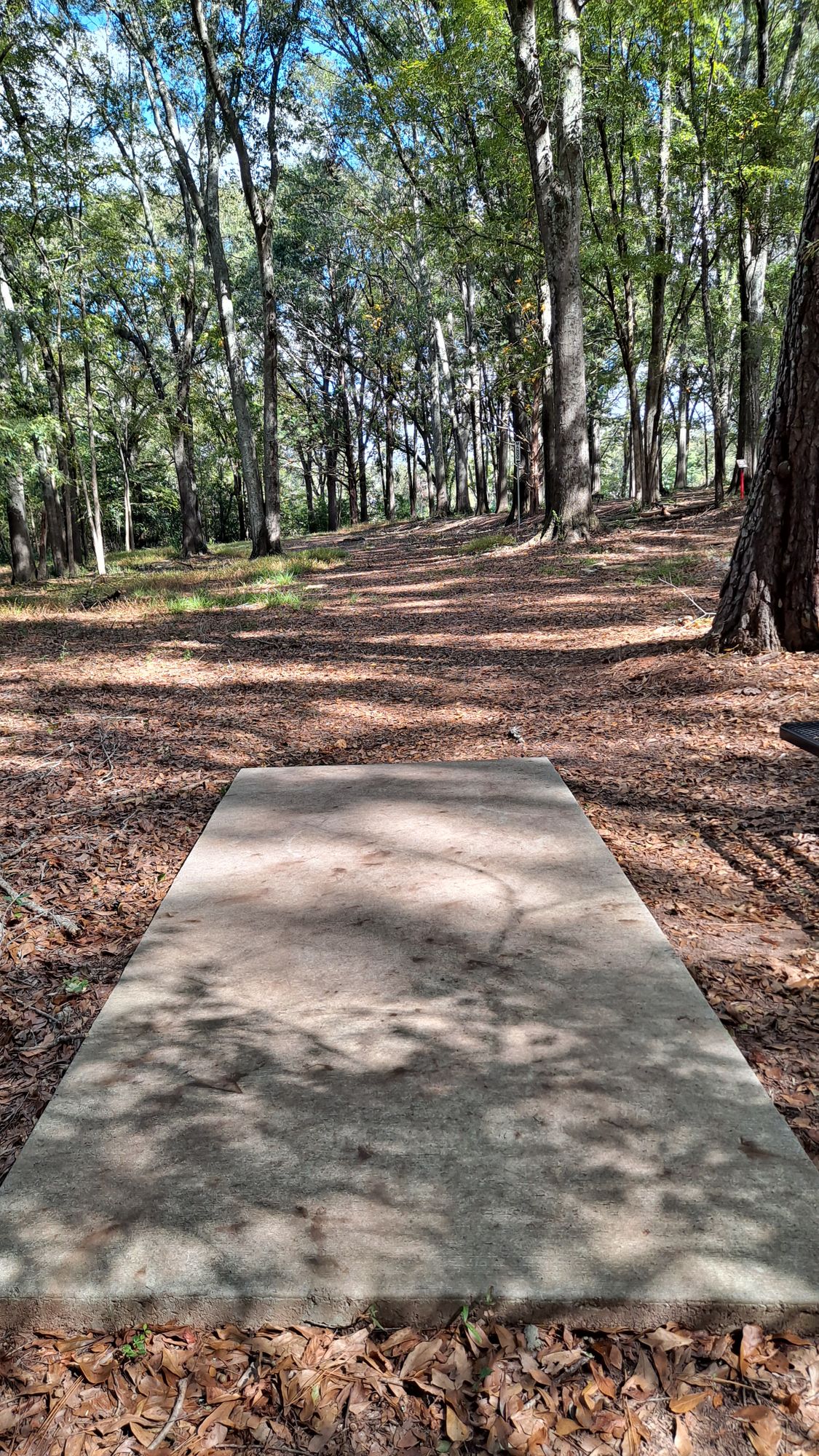 #18 long teepad 450 feet par 4 with mando