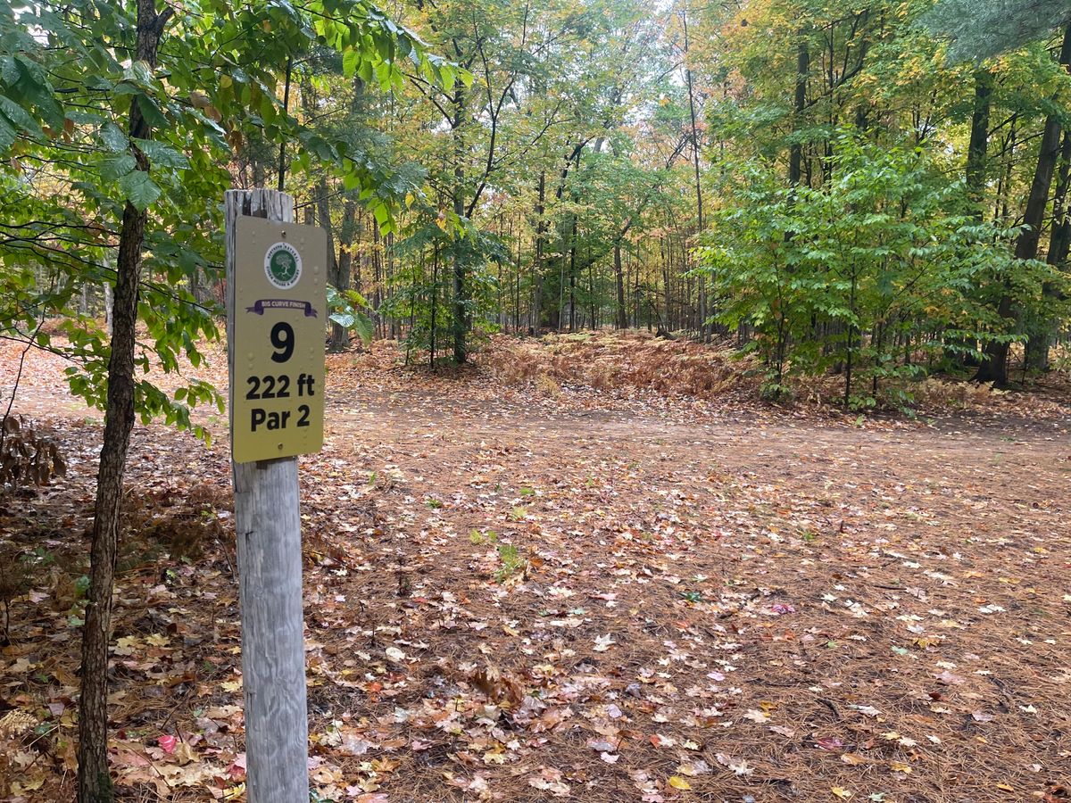 Tee pad 9