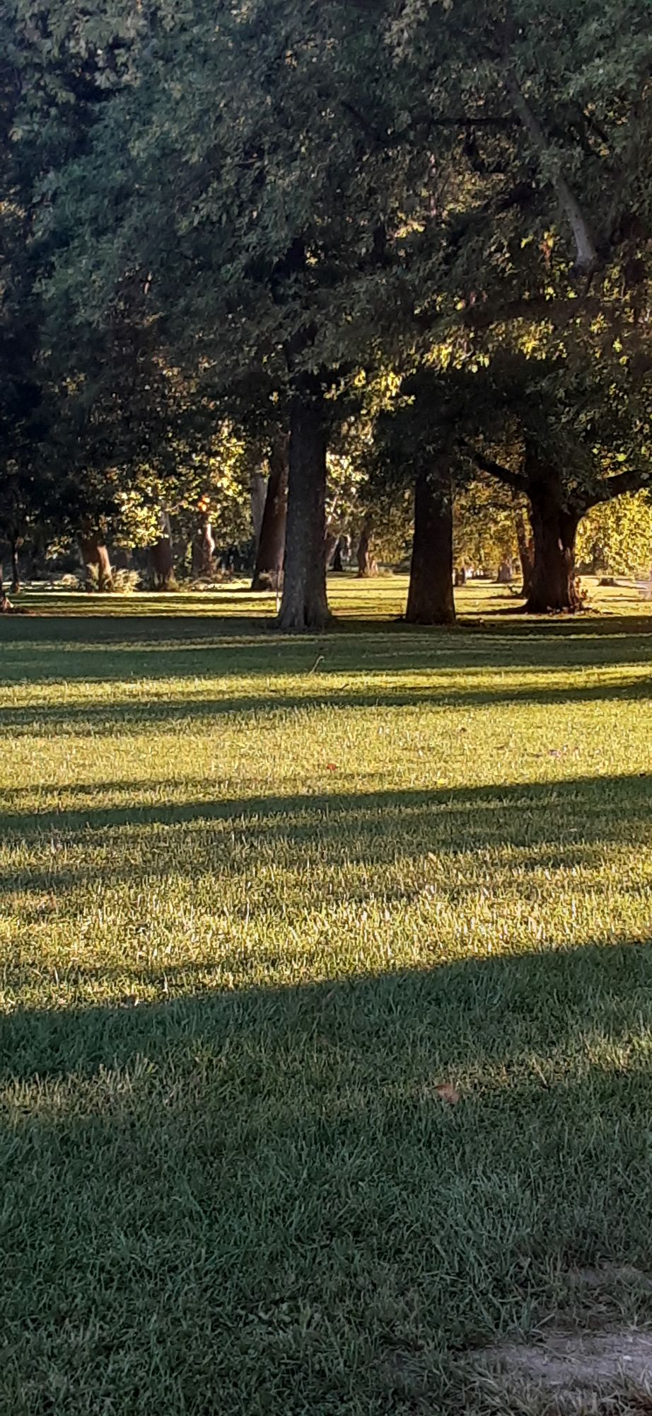 Hole 1 from tee