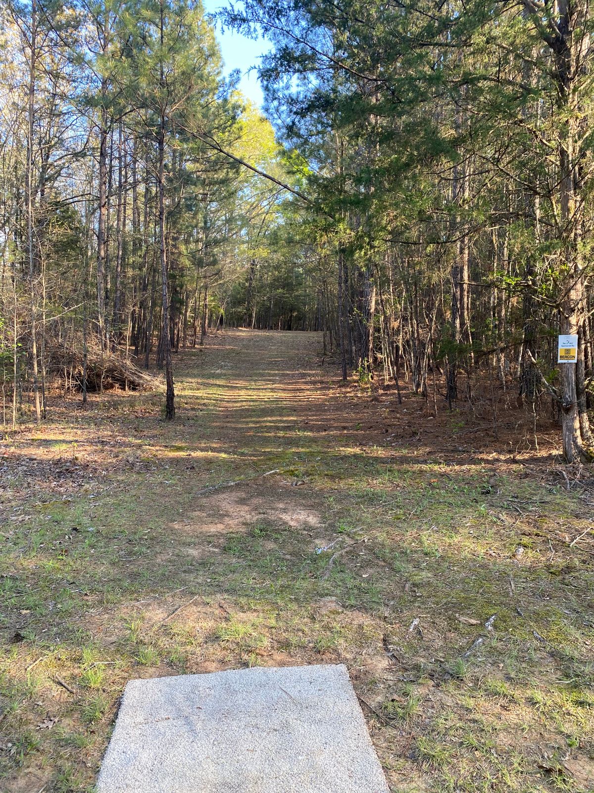 Hole 4
