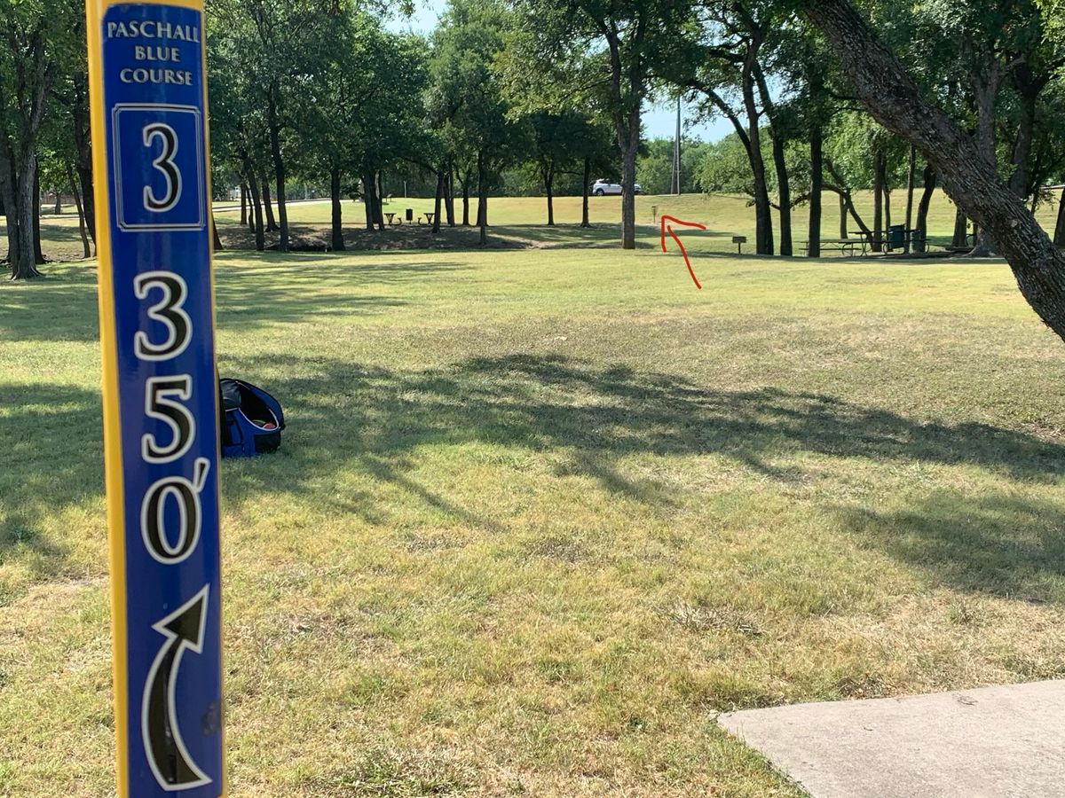Hole 3. Blue tee. Arrow points to the basket.