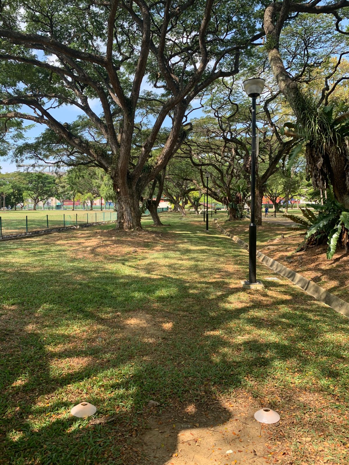 Hole 12 Tee