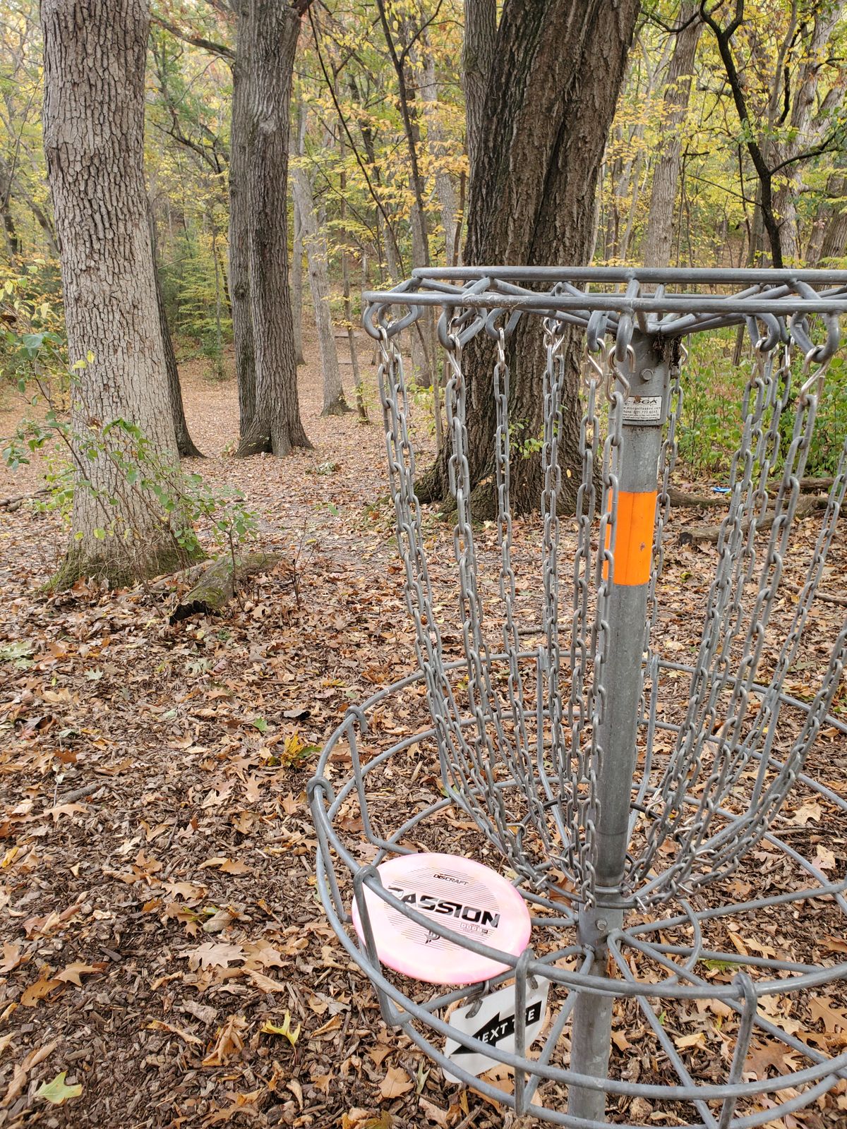 Hole 5 black ace.