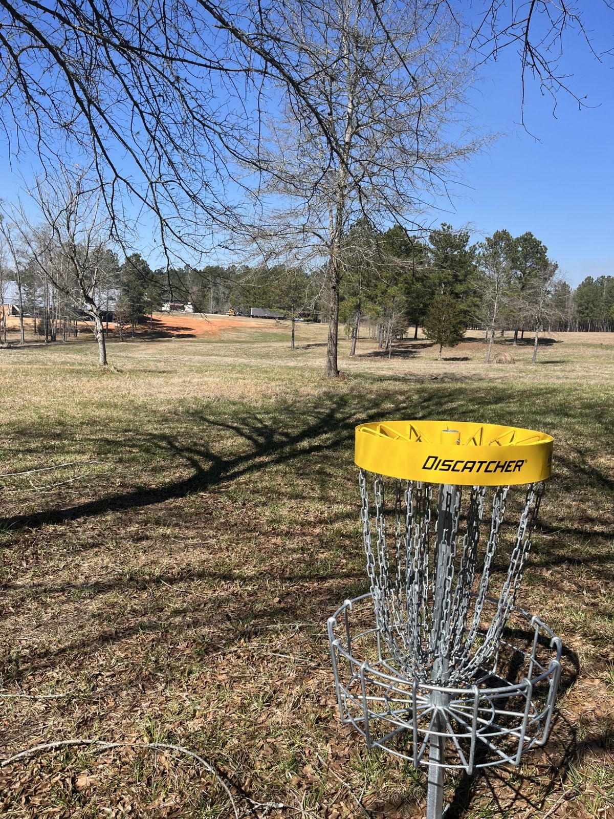 Hole 15 - basket to tee