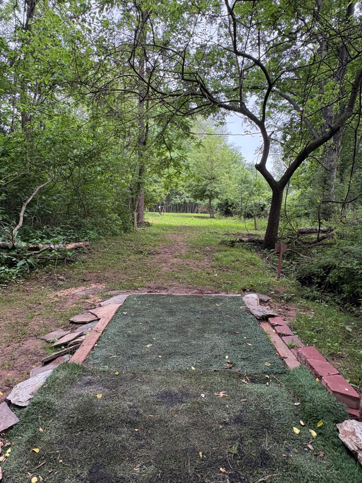 Hole 6 long Tpad
