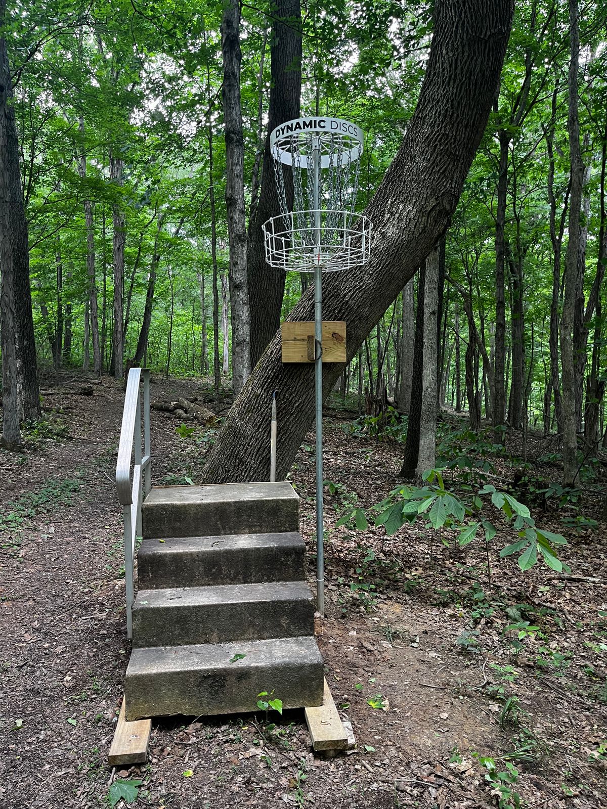Hole 13 green