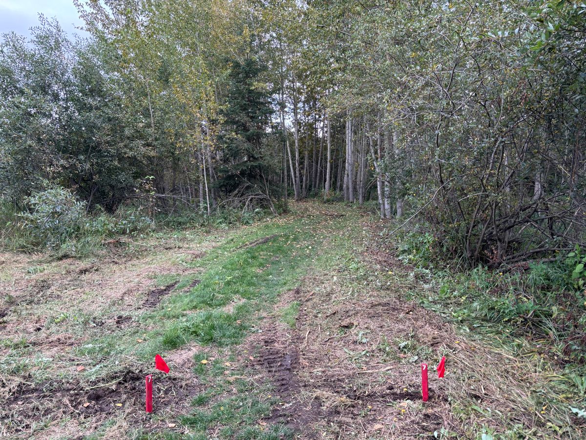Hole 7 Reds