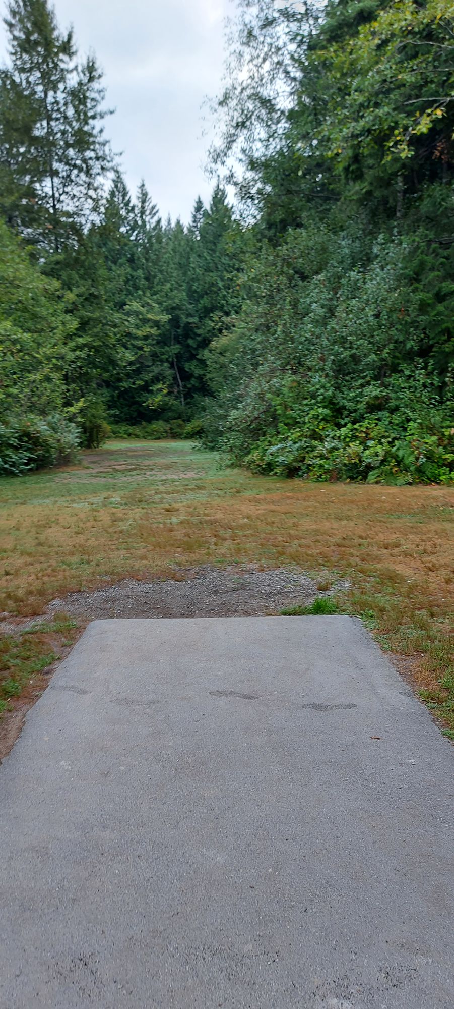 Tee pad 4.🍃🌳🍃🌳