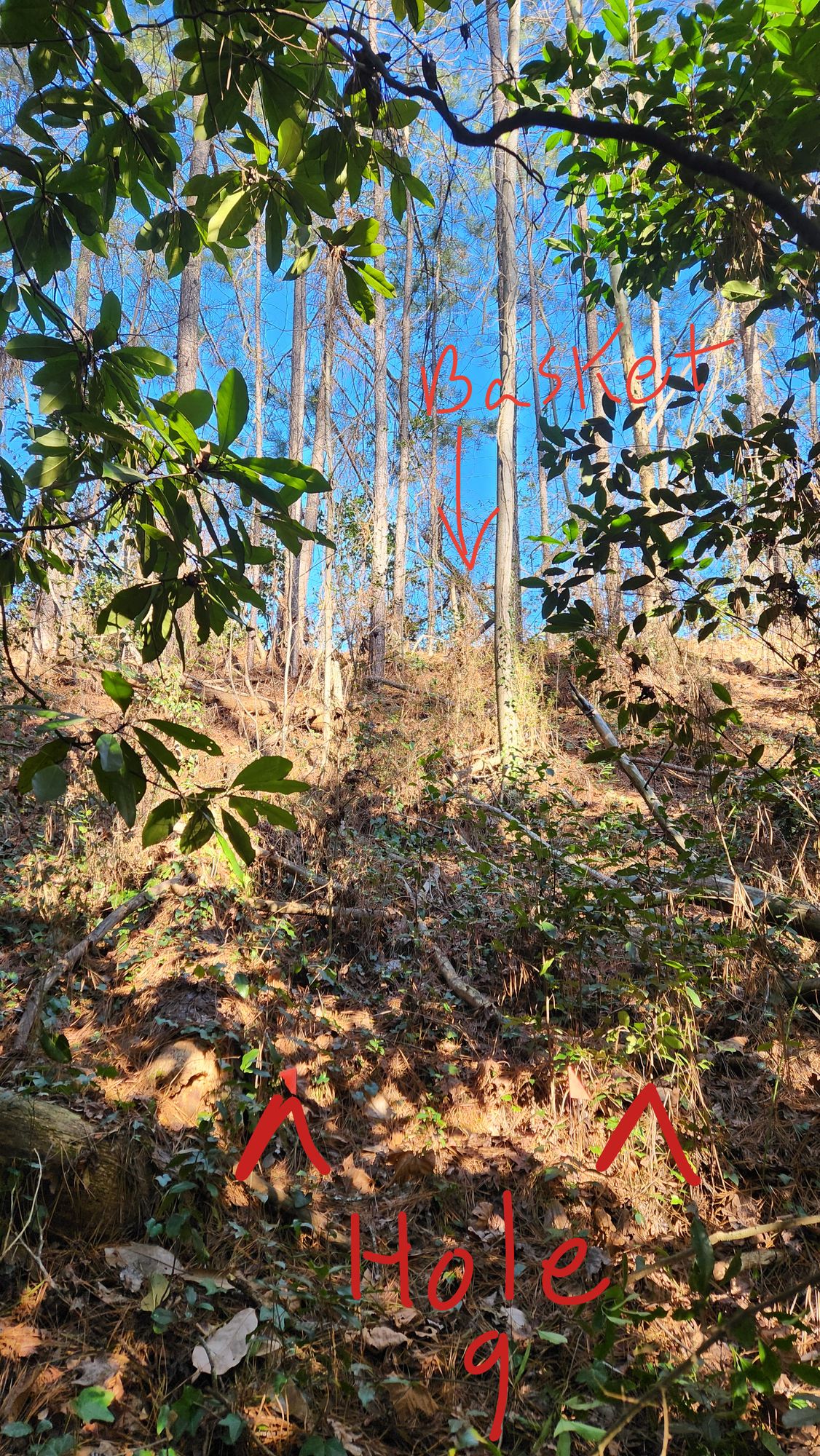 Hole 9 is the only wooded hole on the course. Tee pad is in a deep valley with several trees blocking most forehand/backhand shots. This is a intentional recovery shot style hole.