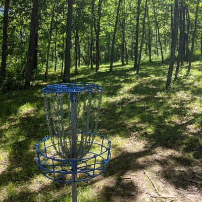 Basket 6 to tee view