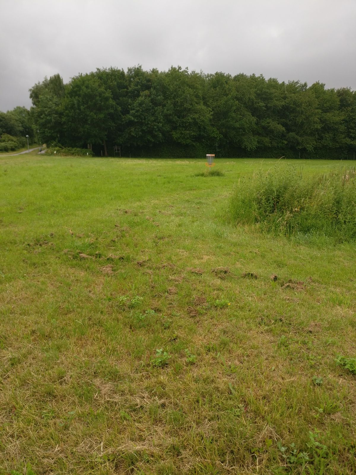 Hole 10
