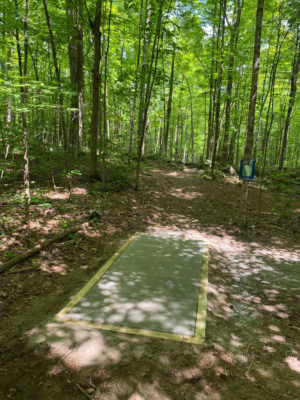 Tee 12