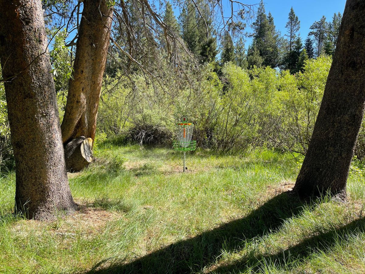 Hole 1, pin position B