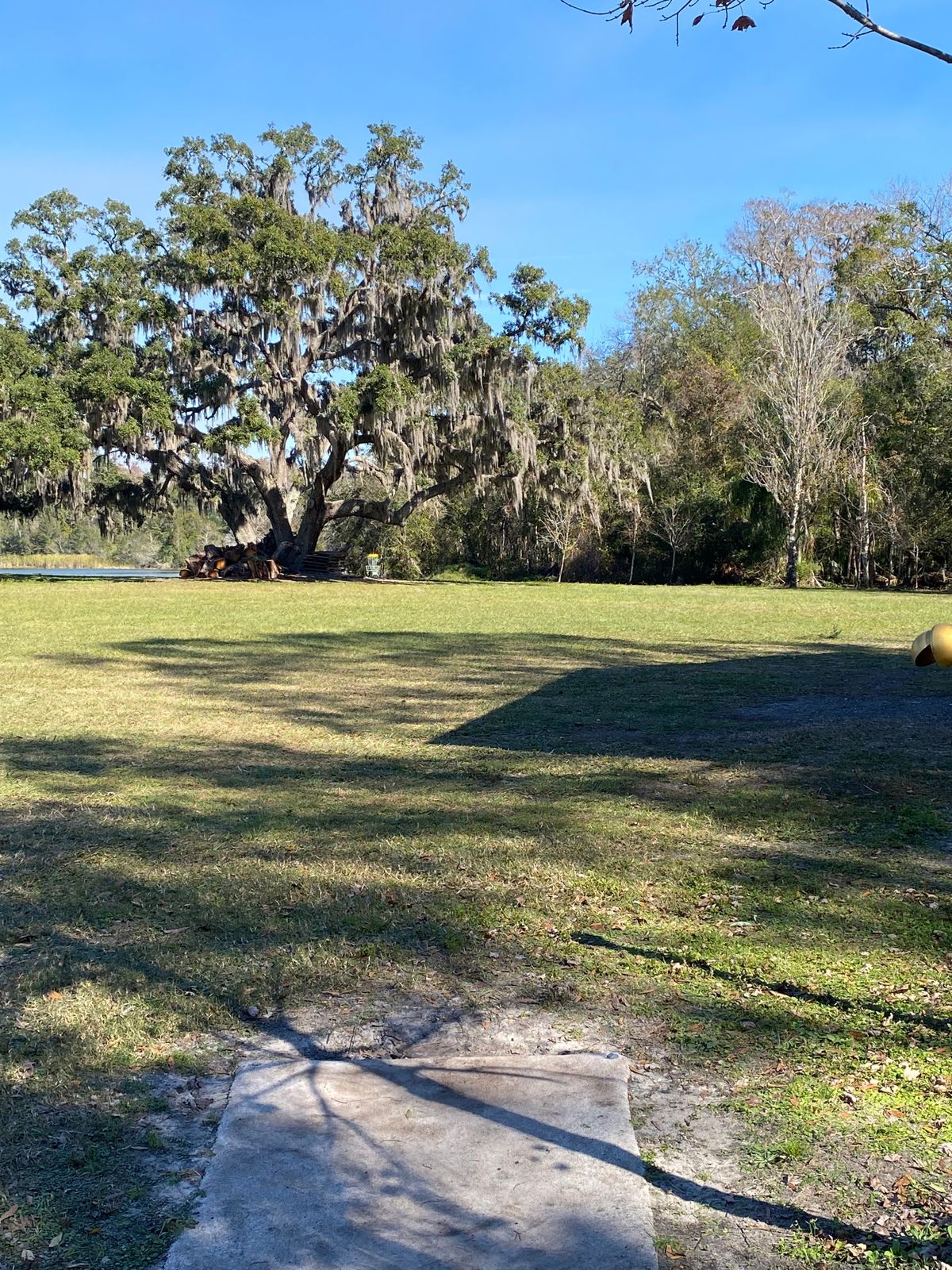 Hole 10 gold tee.