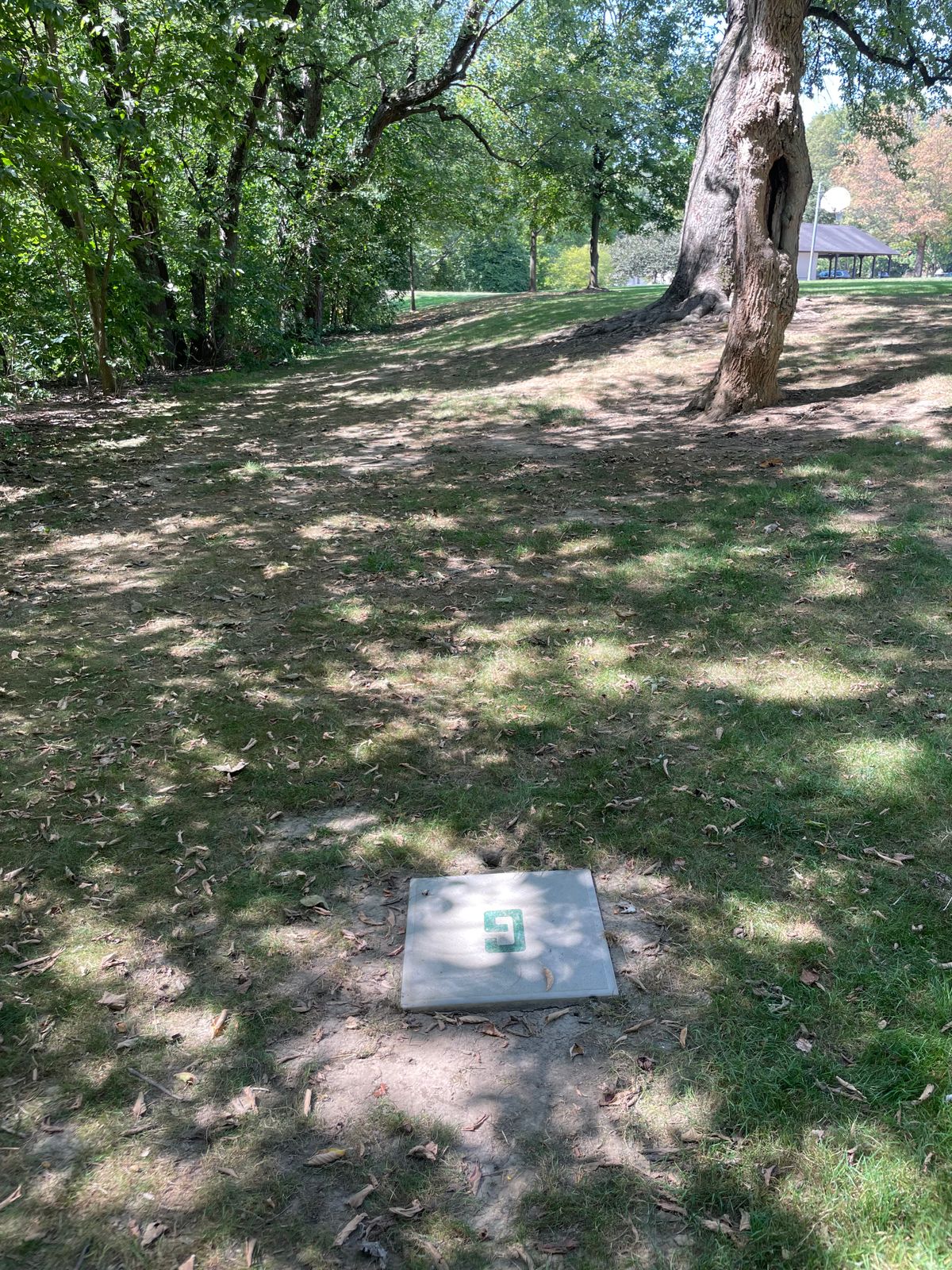 Hole 9 Green Tee/Drop Zone