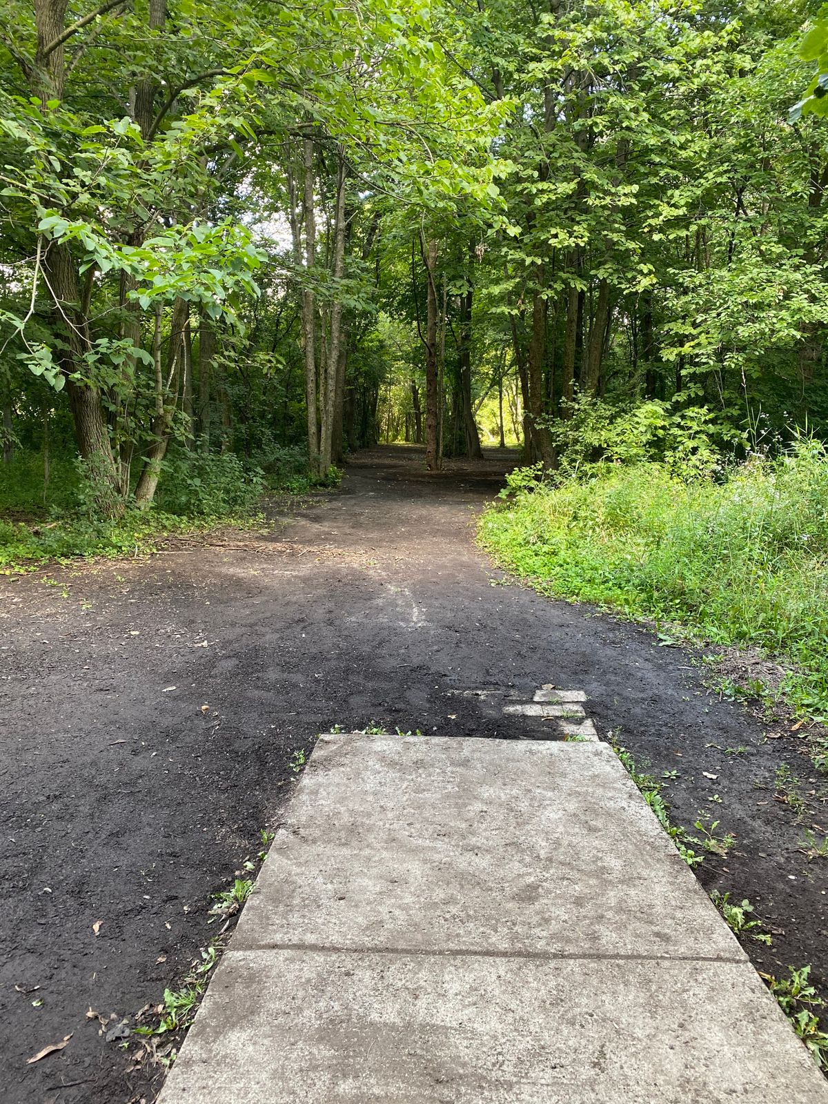Hole 2 tee box