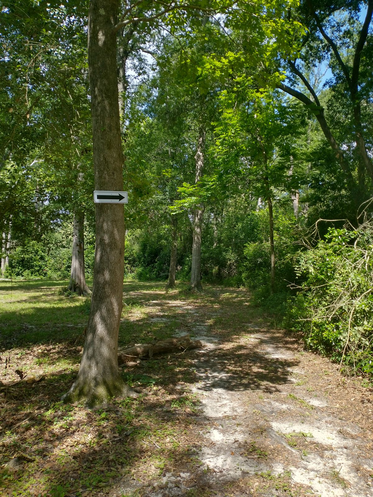 Hole 9 mandatory