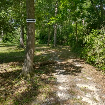 Hole 9 mandatory