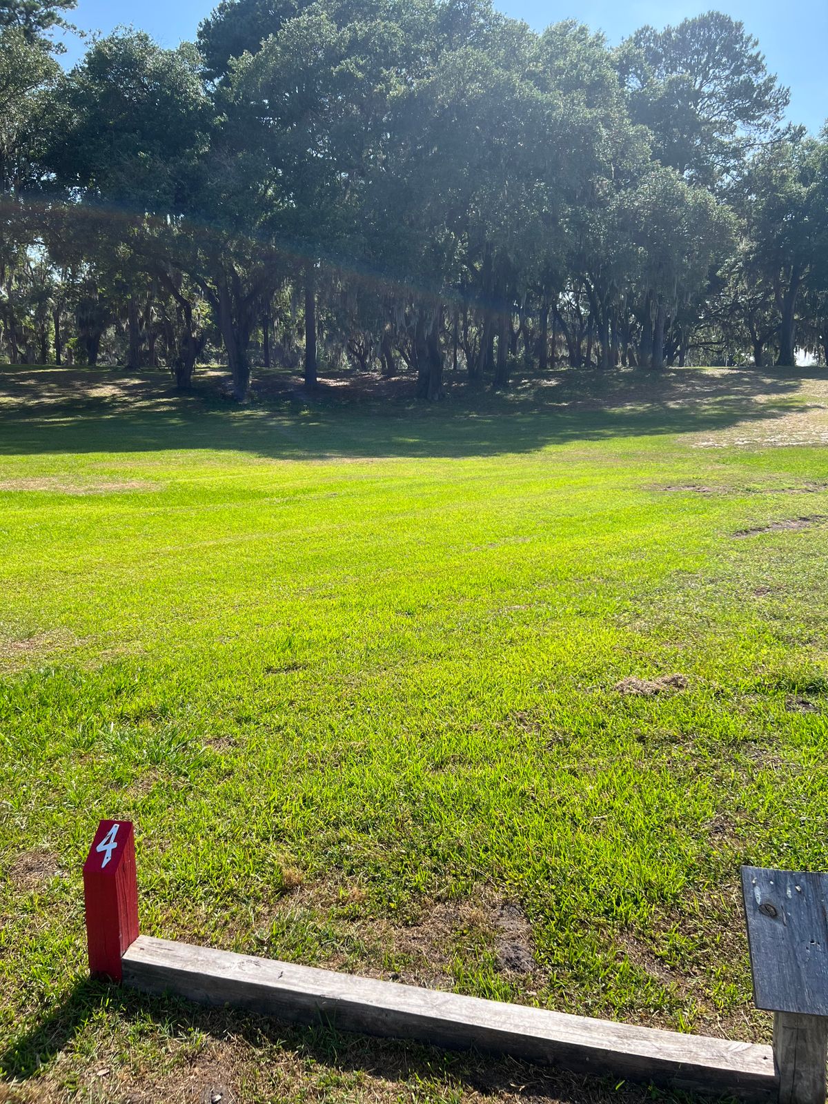 Red 4 tees, basket sits inside those trees.