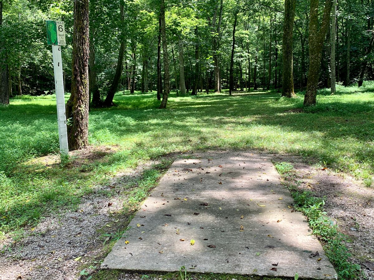 6 tee pad