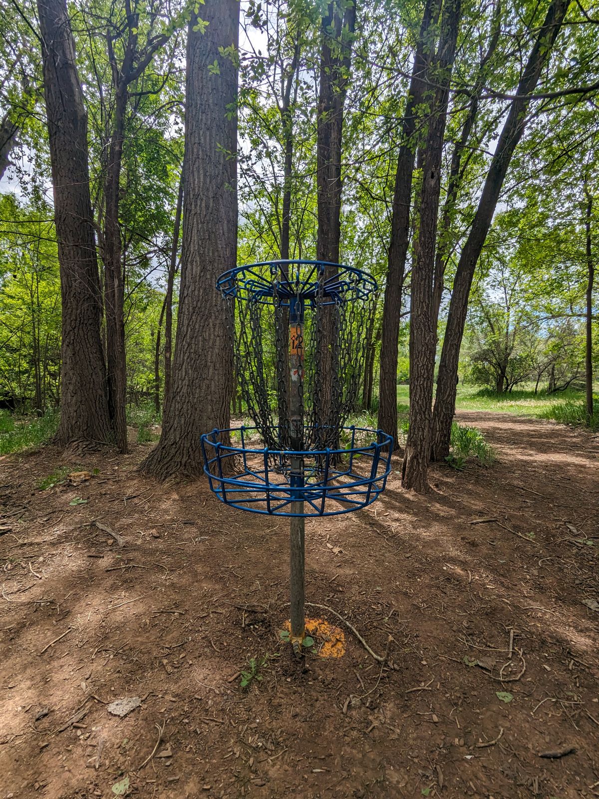 Hole 12 basket