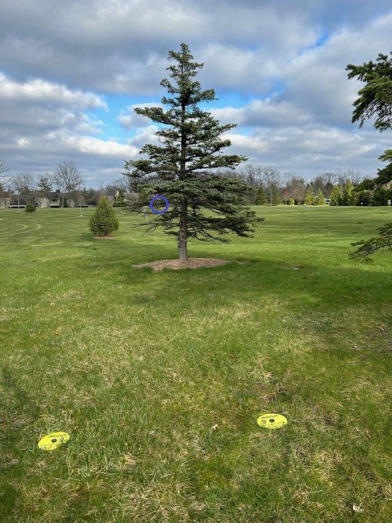 Hole 9