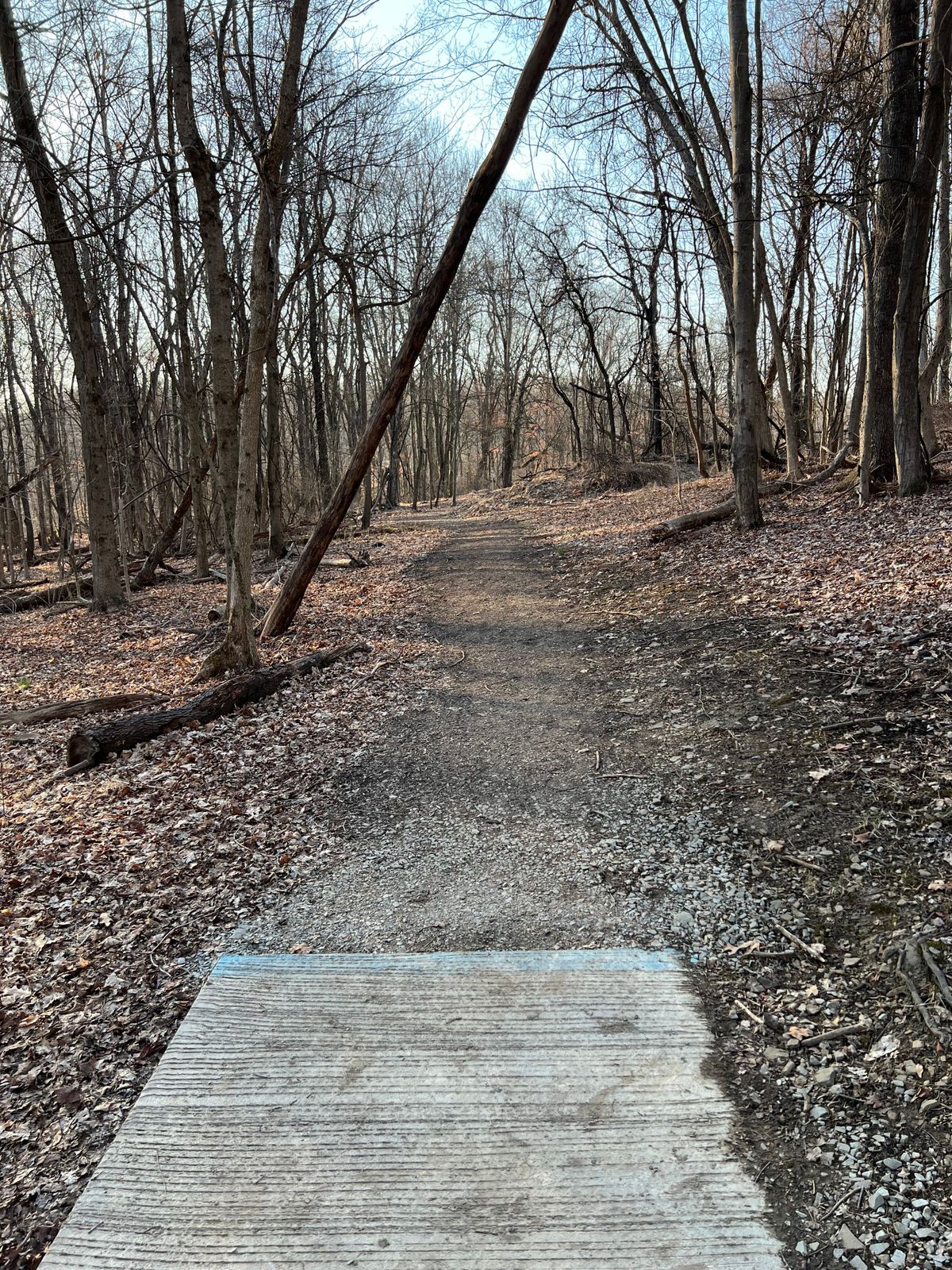Hole 10 - Blues
