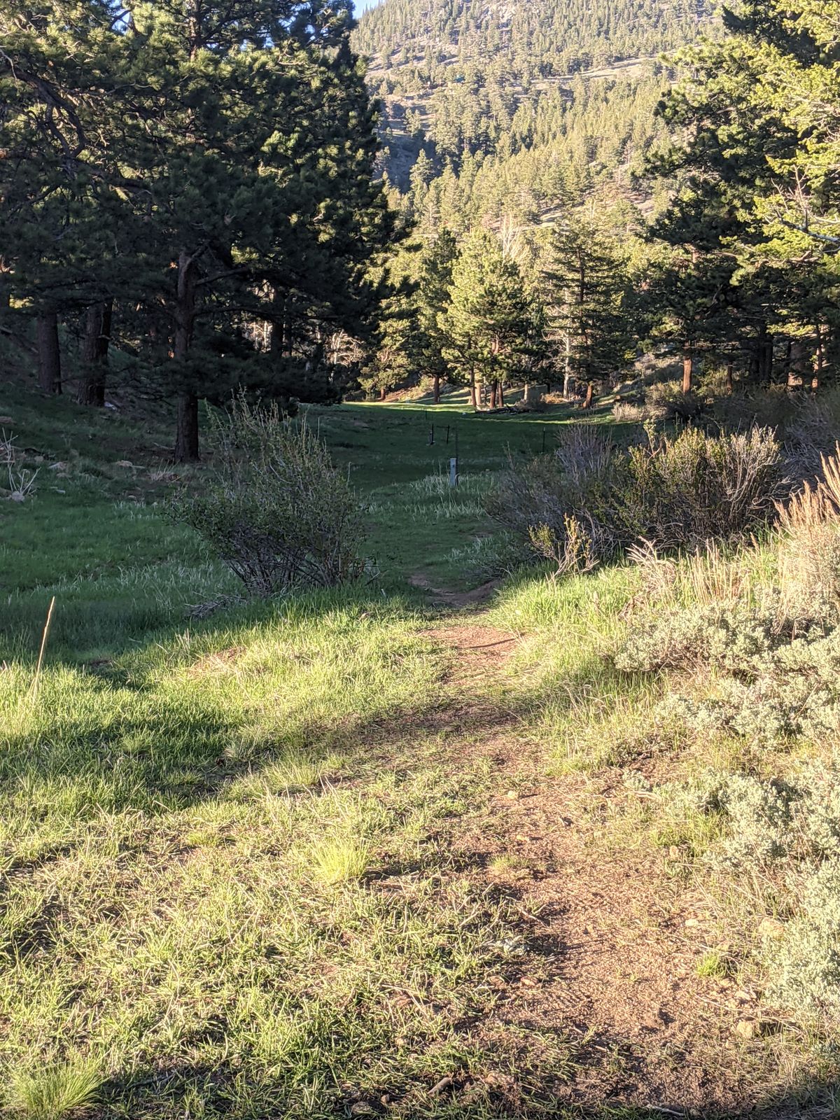 Hole 16