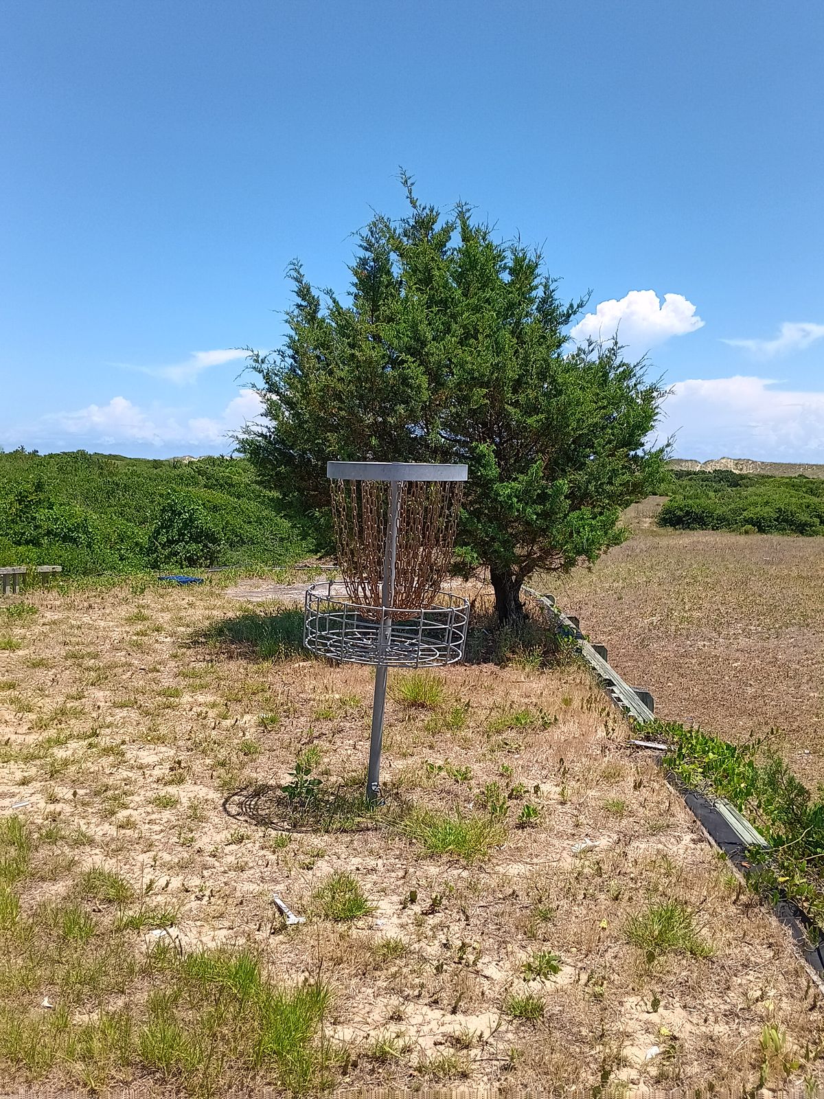 Hole 2 at Mad Max Disk Golf course.