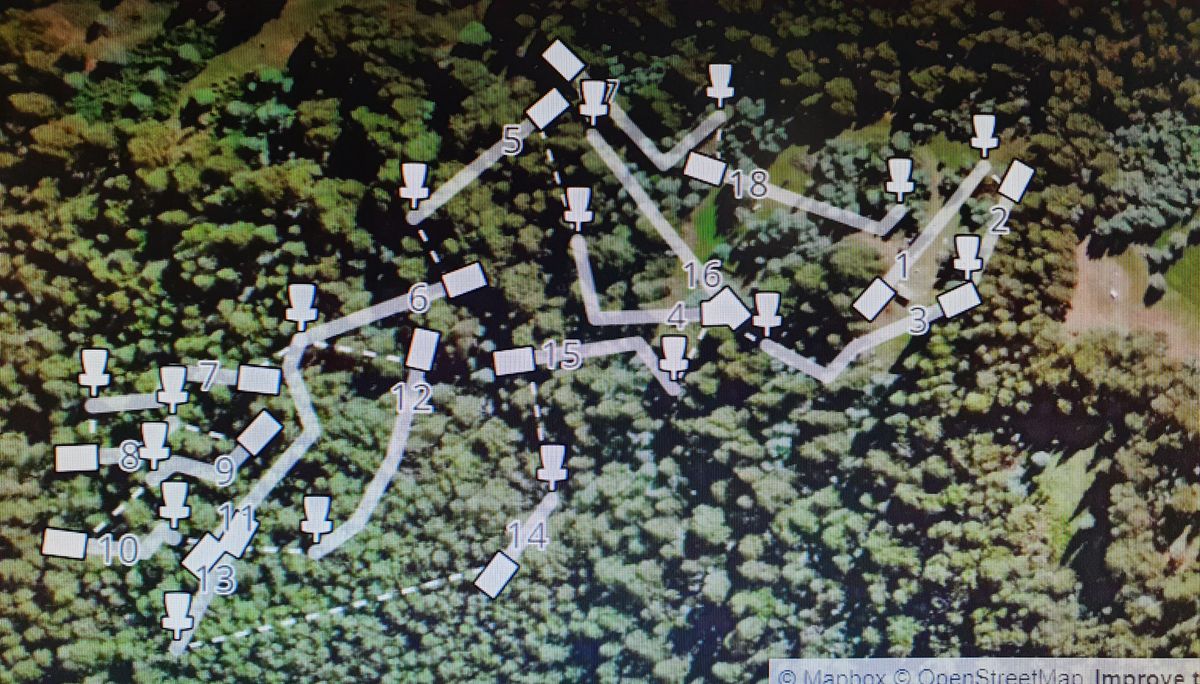 Layout