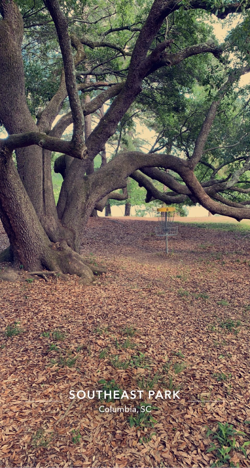 Hole 8