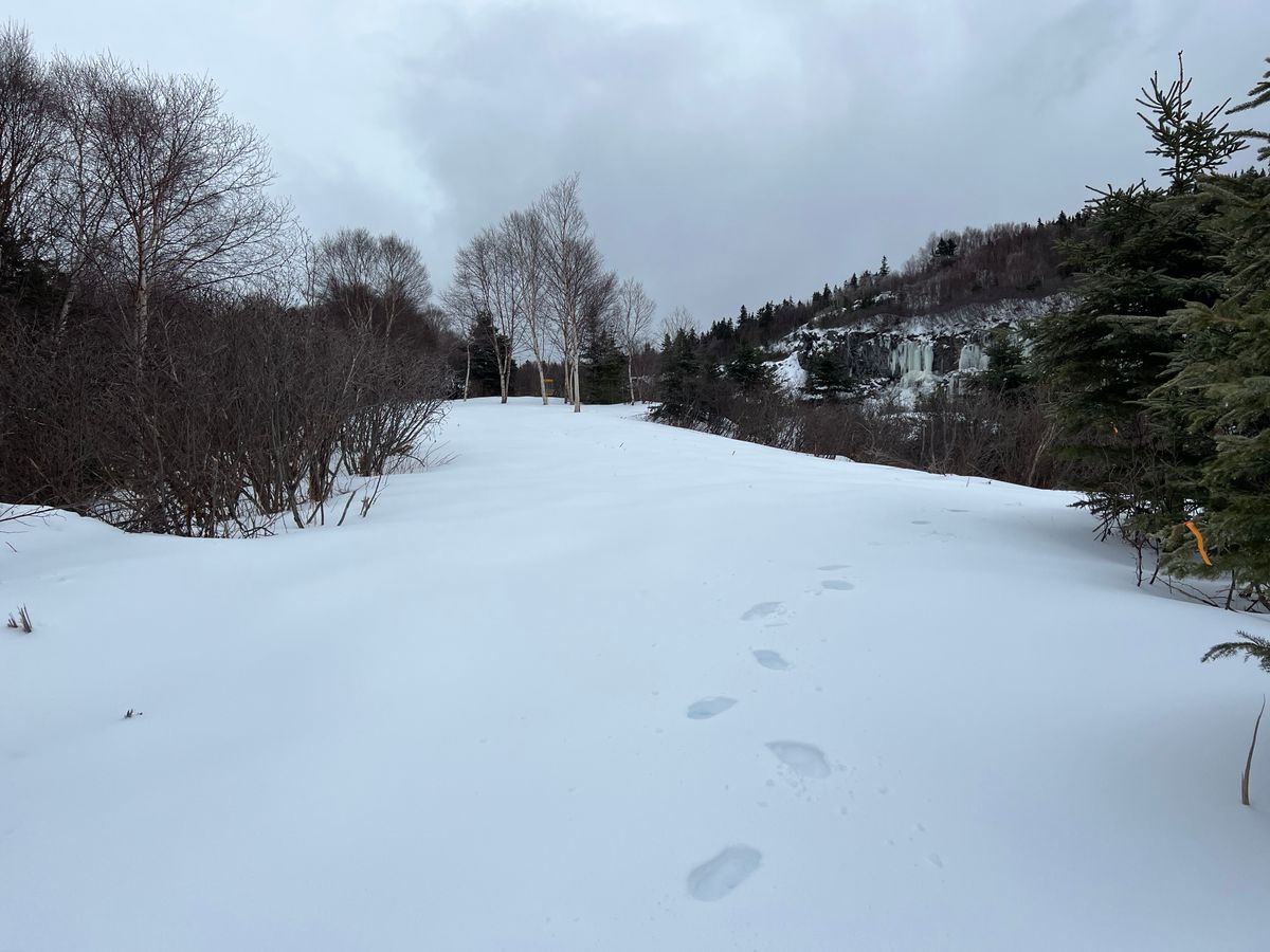 Hole 12