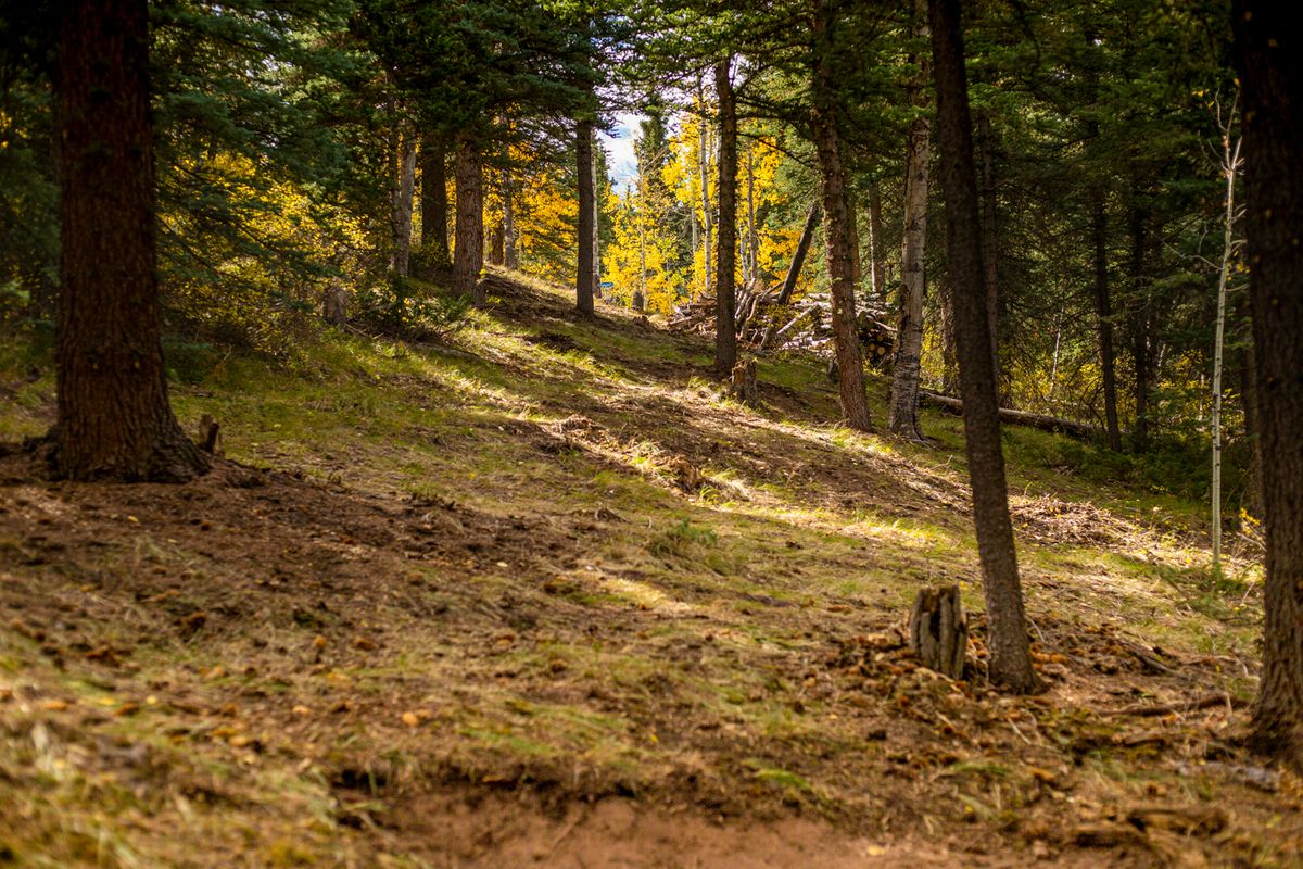Hole 4 tee with basket in A position

📸: Kevin Banker || Banker Cinefoto || September 2020