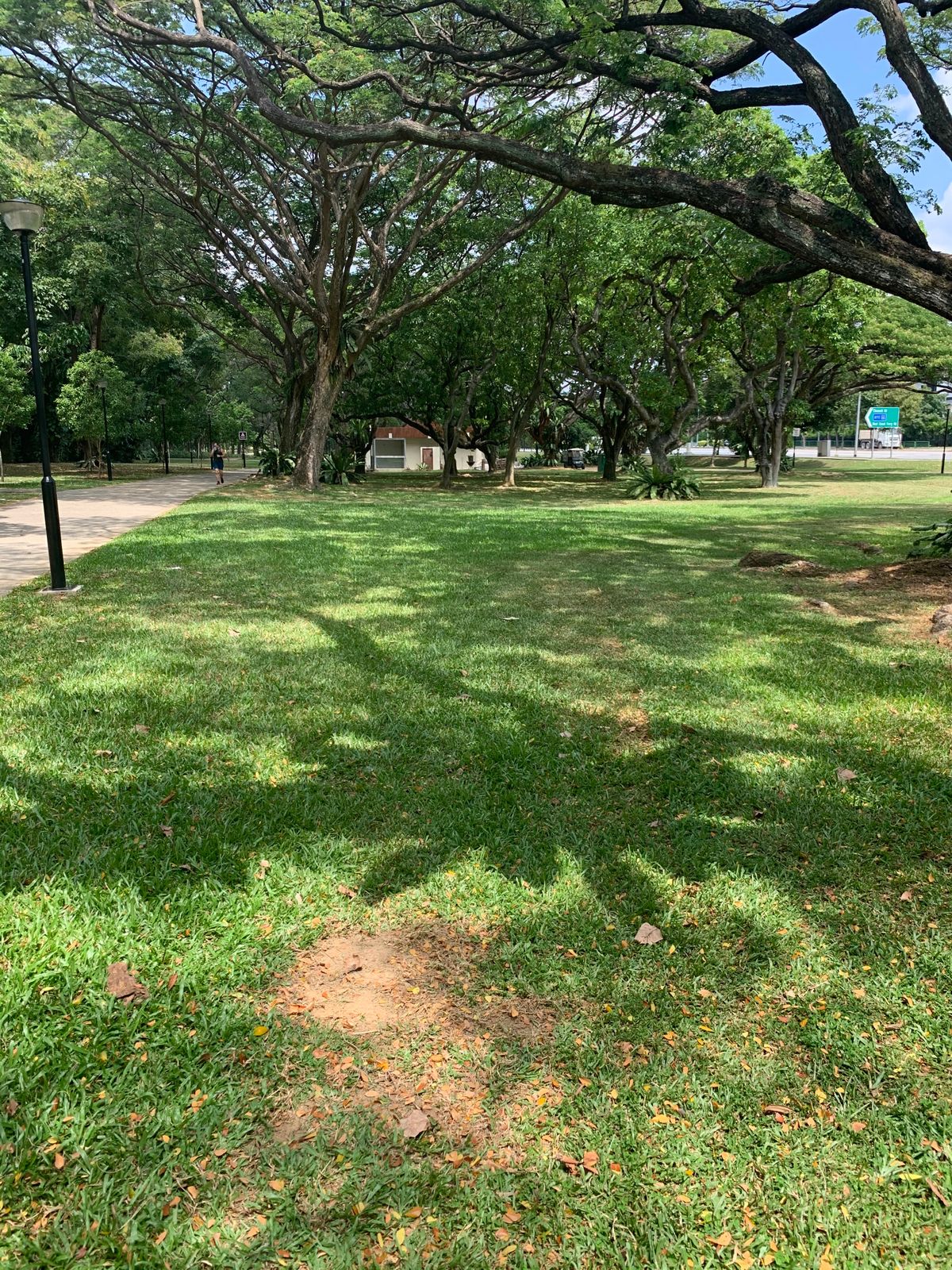 Hole 3 Tee
