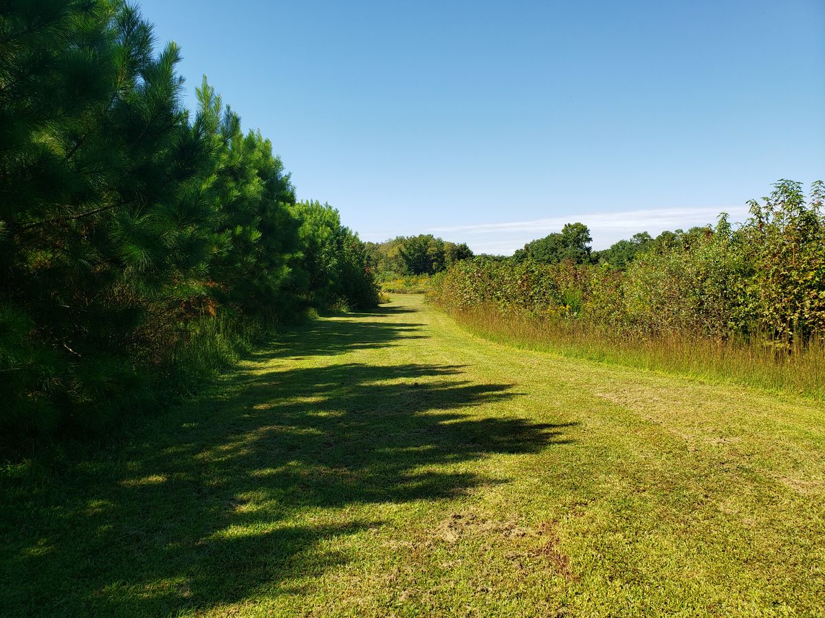Hole 5.