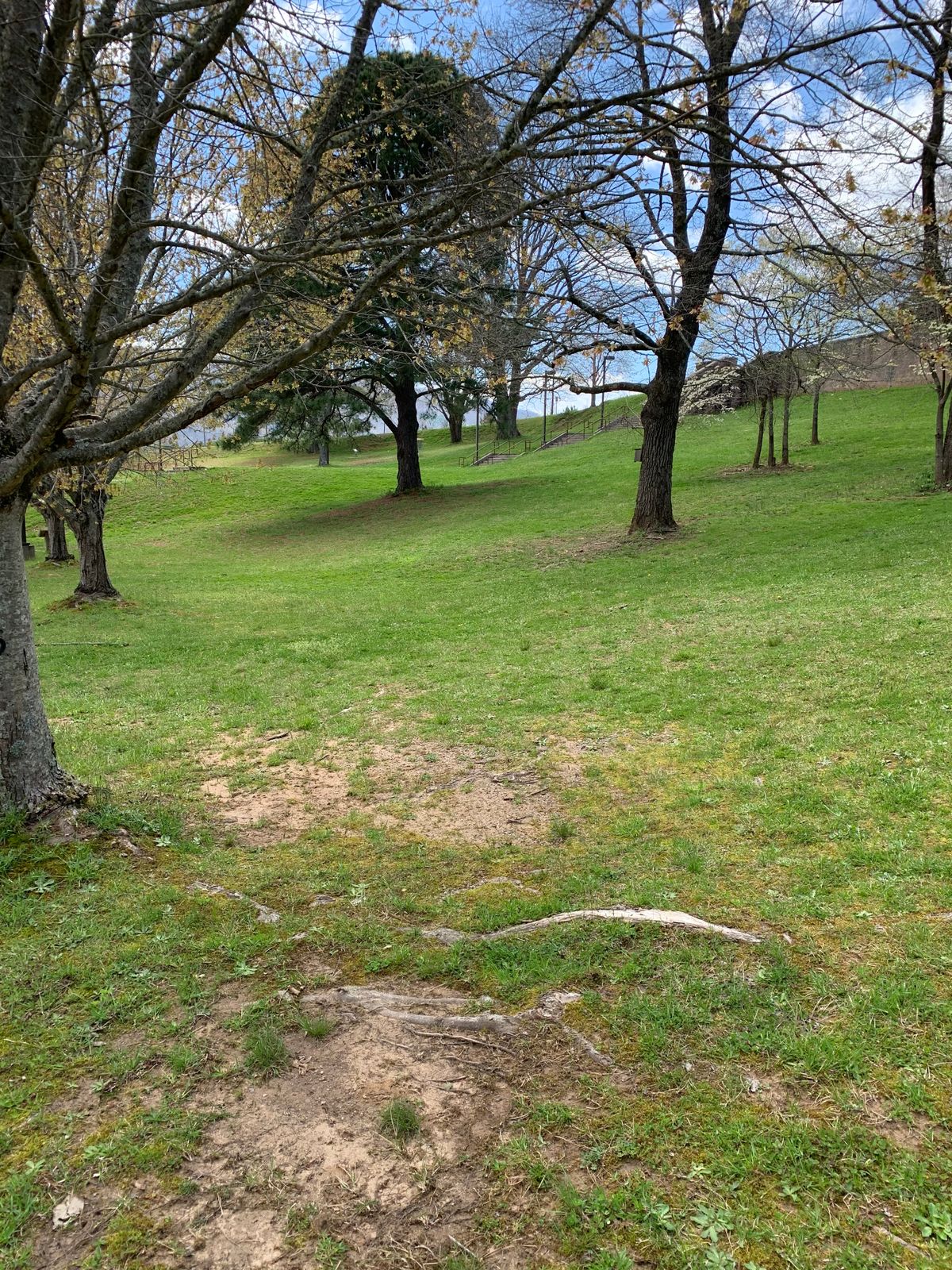 Tee Box 5