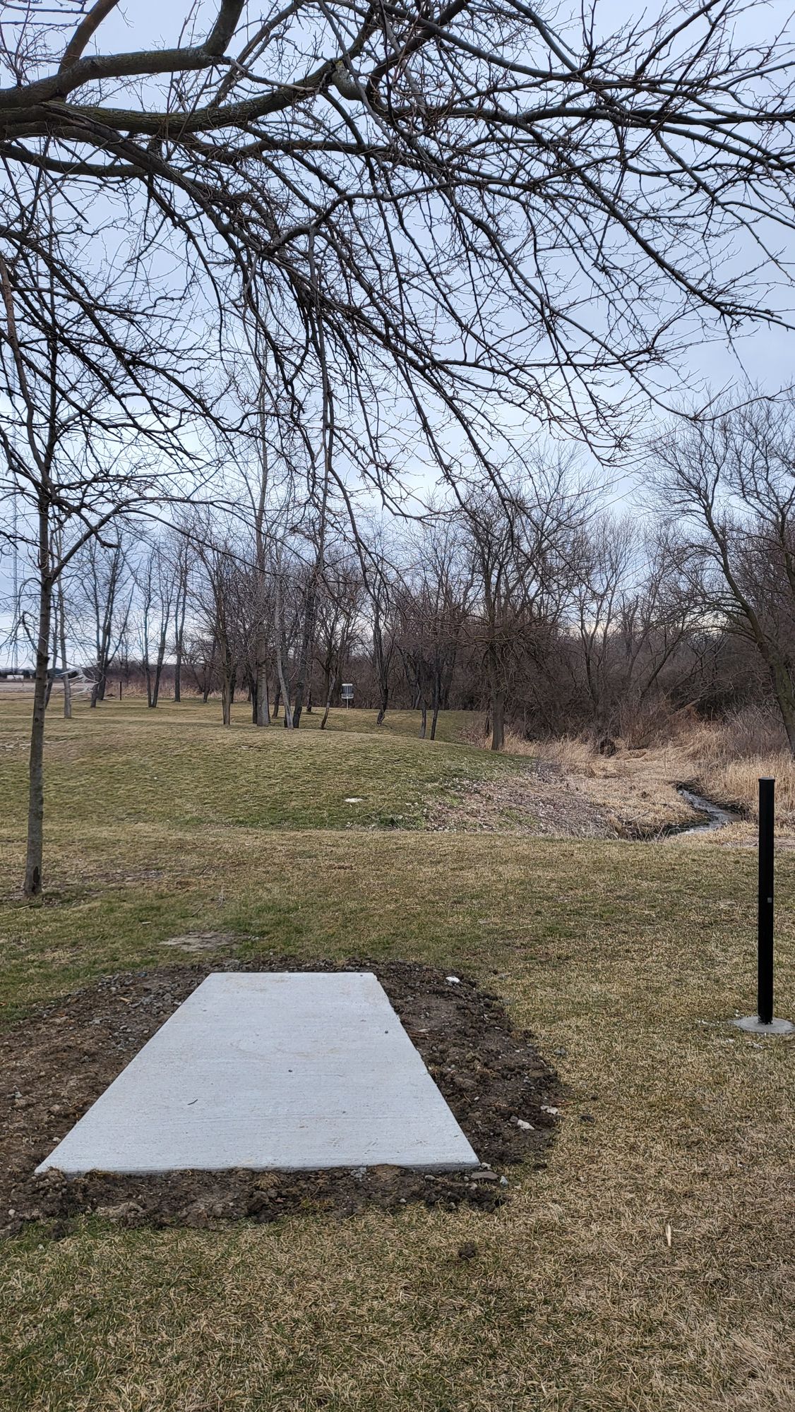 Tee 6