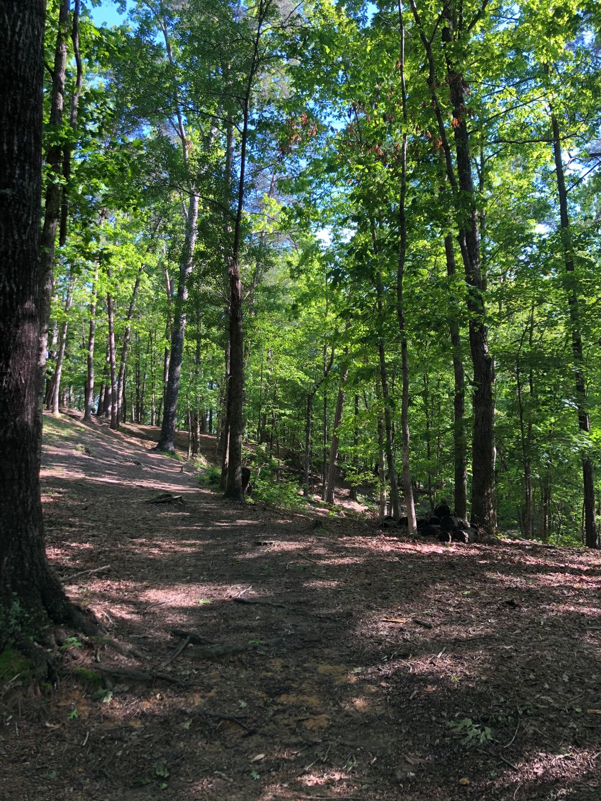 Hole 14