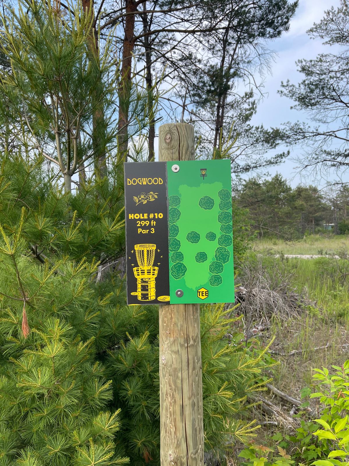 No 10 tee new signs 2023