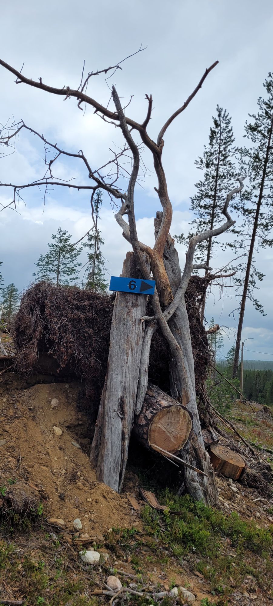 Seuraava väylä ->