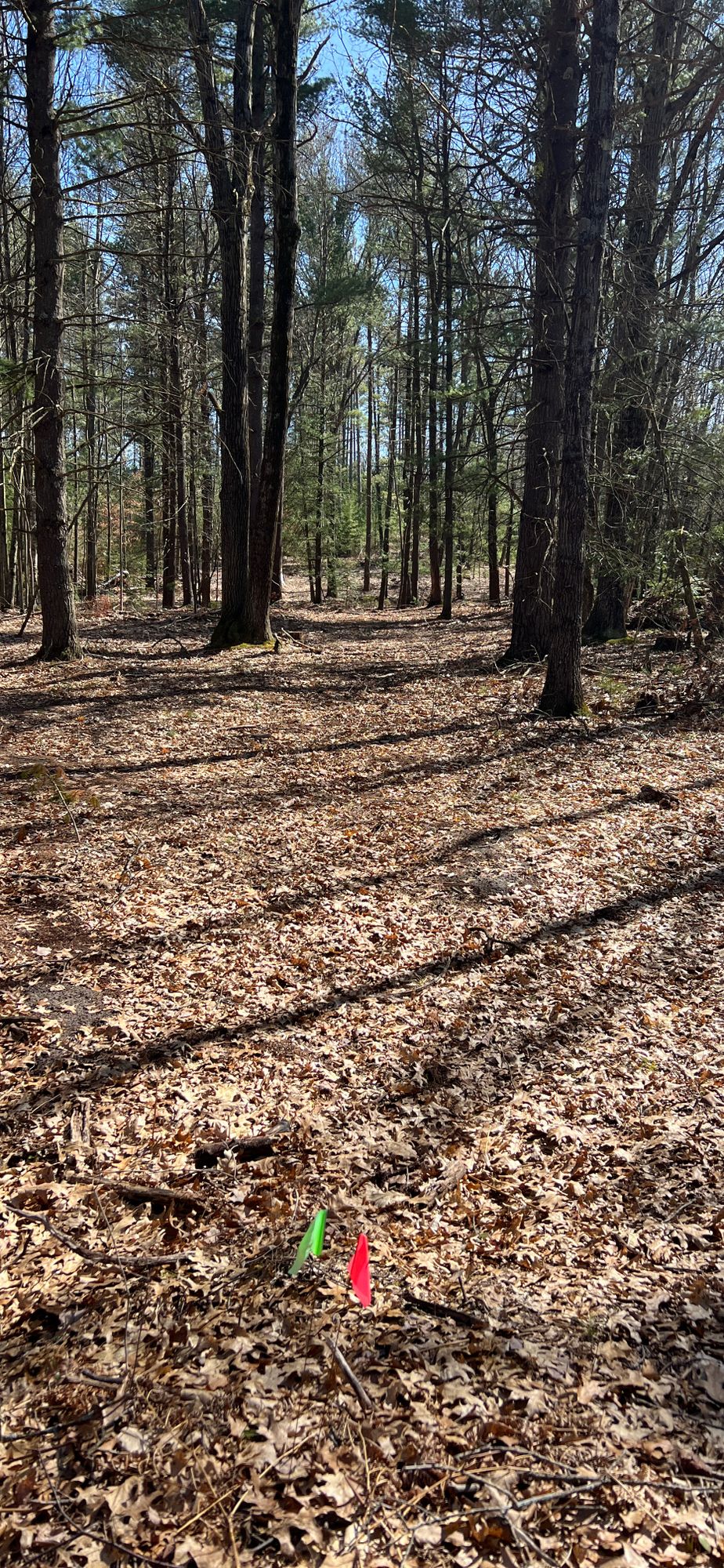 Hole 7 pin