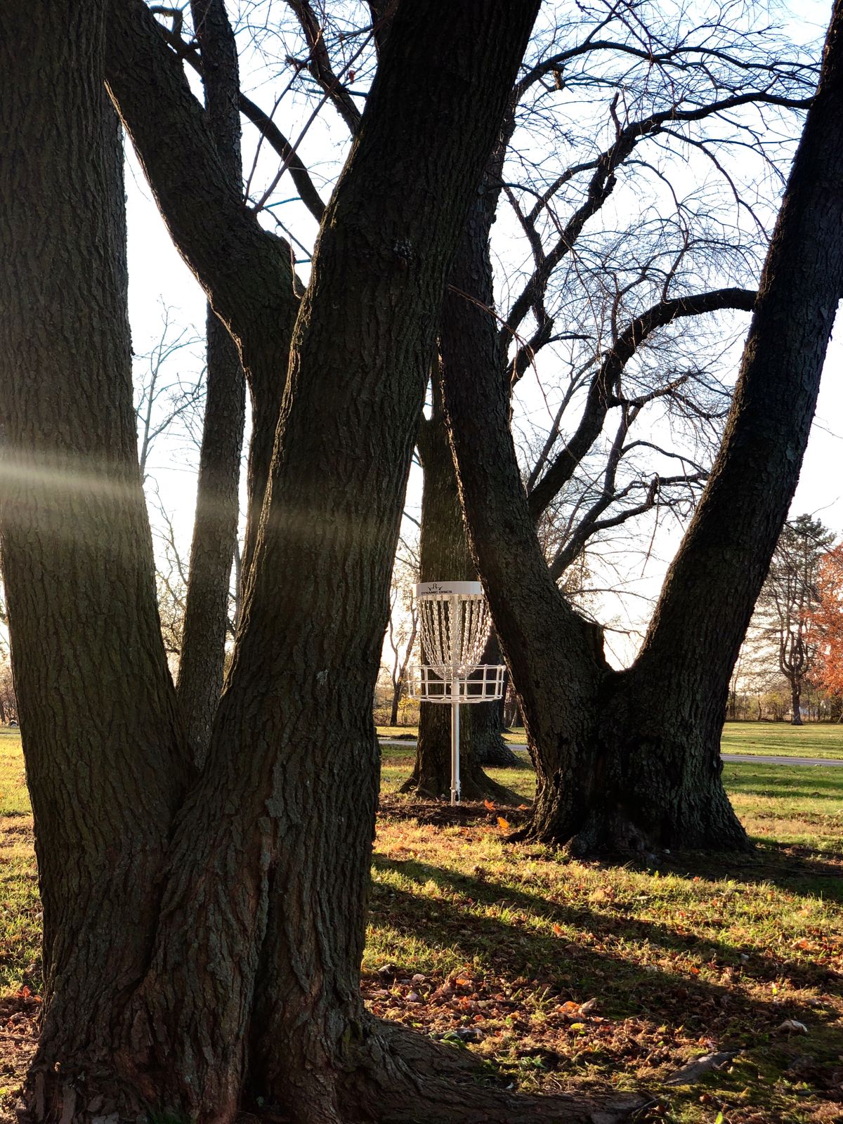 Hole 1 basket.